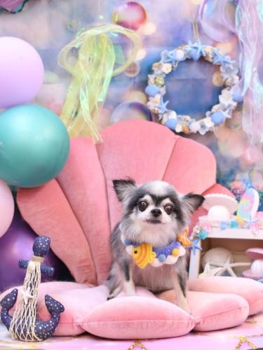 20240810クオンくん